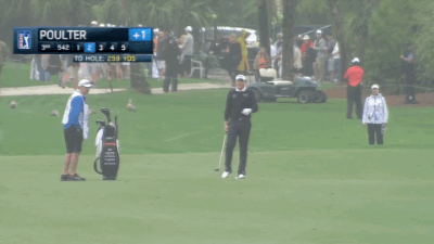 02.27.15 poulter duck