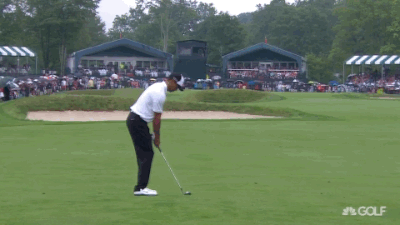 07.03.15 tiger approach 17