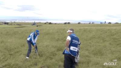 Thick rough, Daniel Brooks.