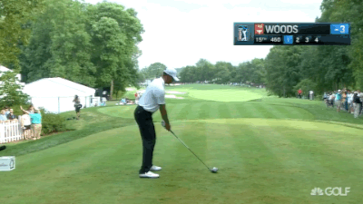 07.30.15 tiger twirl 15