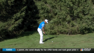 08.07.15 day tree swing