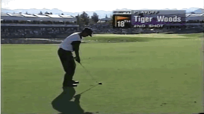 tiger approach 18 playoff