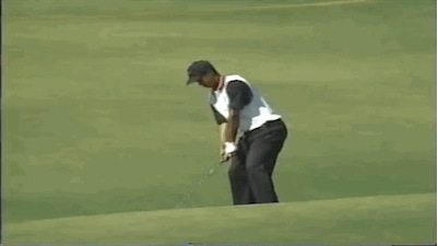 Tiger needed some work done on his groin area. He was playing with it wrapped.