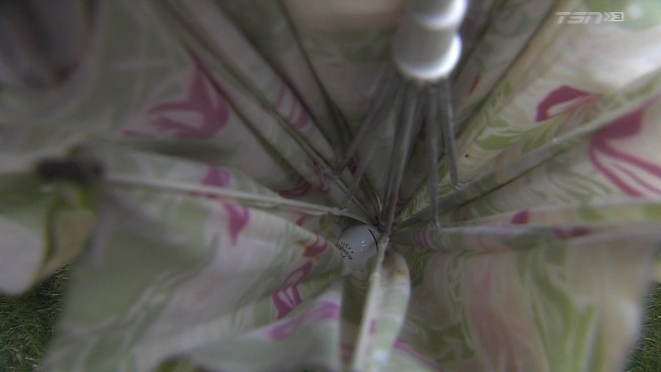 10.10.15 phil umbrella