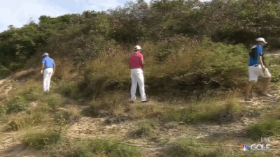 12.03.15 singh looking for ball