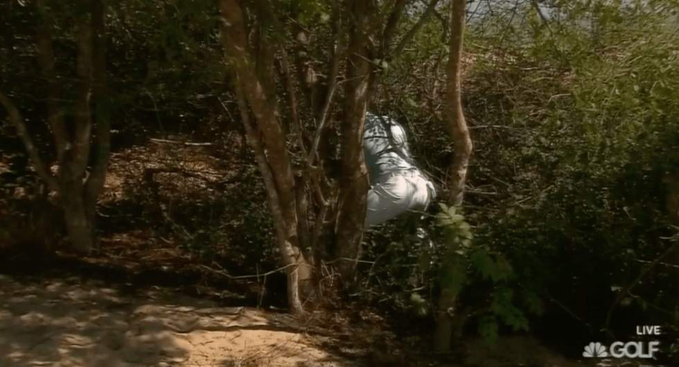 12.05.15 garcia trees