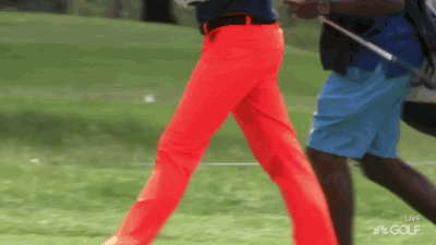 That time your pants got compared on the air to a bird.