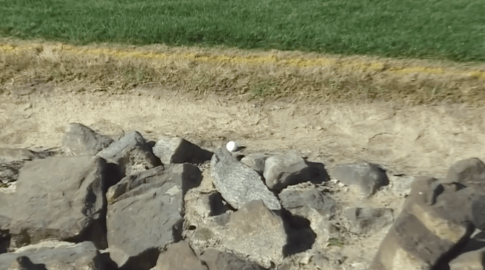 Tough break for Tyrone Van Aswegen.