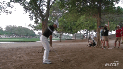 Rory escapes the trees.