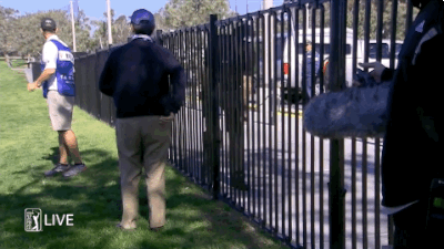 01.29.16 phil fence 1