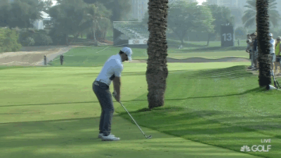 Just a silly good cut from Rory.