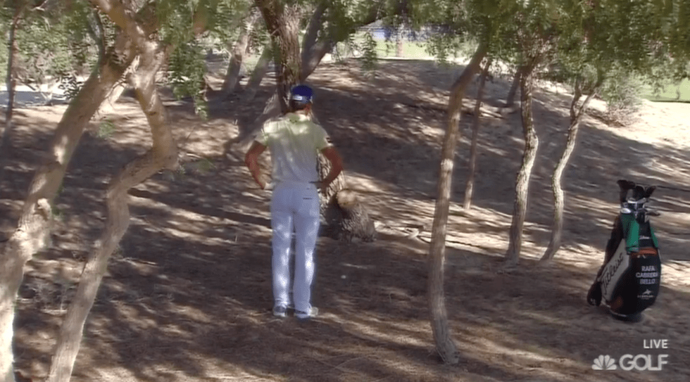 Tree trouble for Rafa Cabrera Bello.