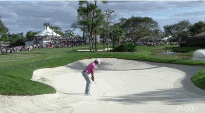 Adam Scott with the shot of the day on 12.