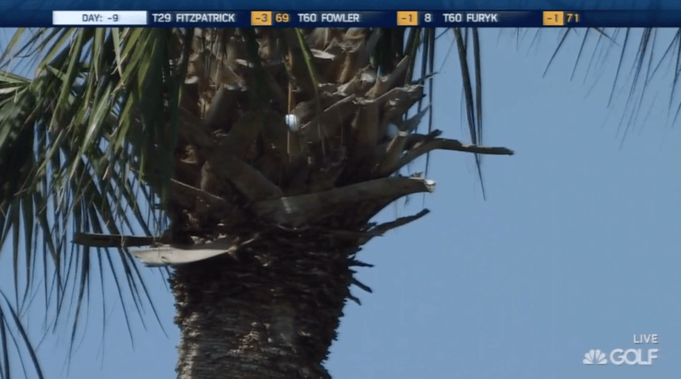 Byeong-hun An's ball in a tree.
