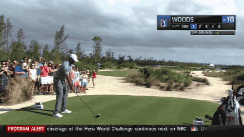 12-03-16-tiger-recoil